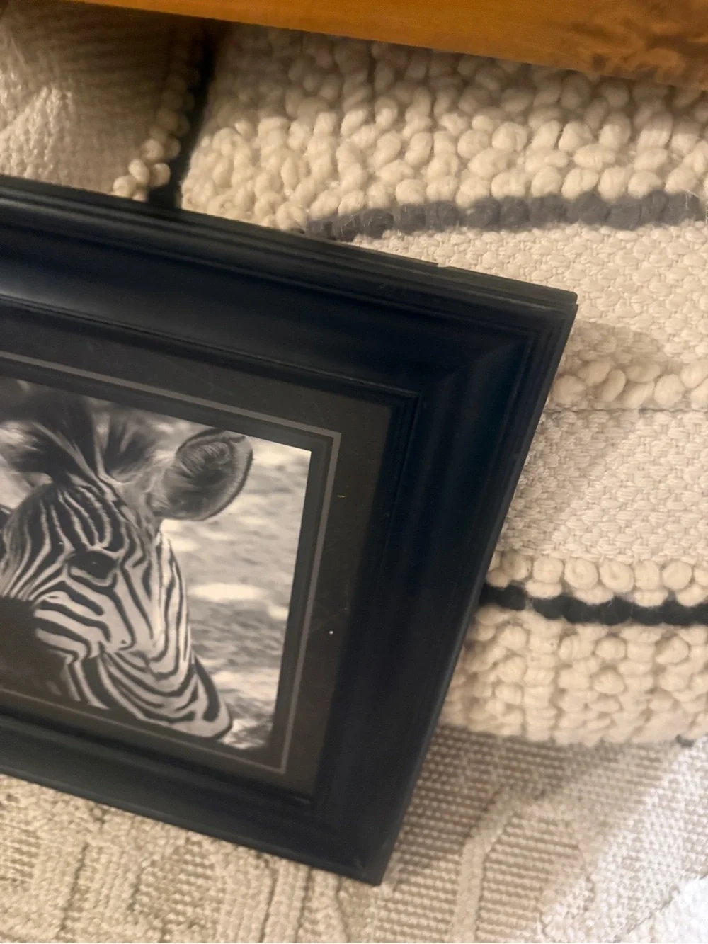 Vintage Black Framed photograph African Zebra Wall Art - Home Accents 16x16”